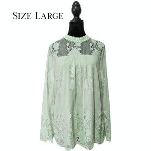 Ultra Pink Sage Green Lace Babydoll Blouse Sheer Floral Long Sleeve L